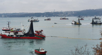 Boğazda görülen mayın, balık fiyatlarını da vurdu! Tezgahlarda 25 liraya varan artışlar görülüyor