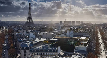 Böylesi ilk kez görüldü: Değeri altını aştı! Ormandan çalınmaya başladı