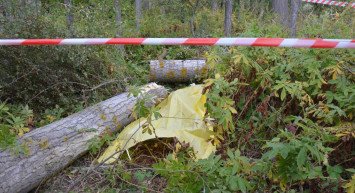Bursa’da ağaç kesimi kazası: Bir işçi hayatını kaybetti