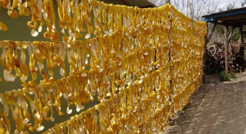 Çamaşır ipine asıp kurutuyorlar: Fiyatını duyan şaşkına dönüyor