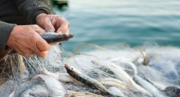 Çanakkale’de balık tezgahları boş kaldı! Rüzgarı gören balıklar denizi terk etti