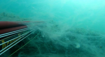 Çanakkale'de Deniz Salyası Görüntüsü Tedirgin Etti!