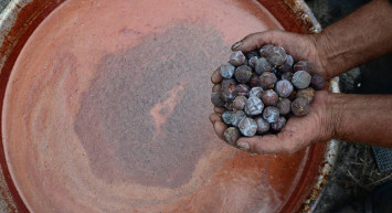 Canan Karatay kabızlık için mucizevi besini açıkladı: Sahurda mutlaka tüketilmeli