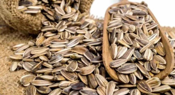 Çekirdek sivilceye neden olur mu? Uzman doktor, sivilce nedenlerini anlattı