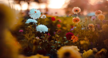 Cemre suya düştü mü, ne zaman düşüyor? Havalar hangi tarihte, ne zaman ısınmaya başlayacak? 3. cemre hangi tarihte, nereye düşecek?