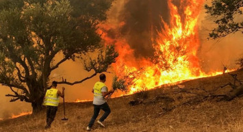 Cezayir orman yangınları ile boğuşuyor! Çok sayıda ölü var