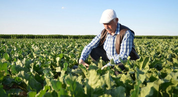 Çiftçilere destek müjdesi: Ödemeler bugün başlıyor