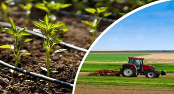 Çiftçilerin yüzü bu sefer gülecek! 70 ton tohum desteği sağlanacak