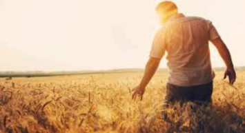 Çiftçilik belgesi nedir ve nereden alınır? ÇKS Belgesini kimler alabilir? Çiftçilik belgesi alma şartları
