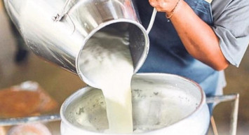 Çiğ süt destek ödemeleri ne kadar oldu? 2022 Çiğ süt destek ödemeleri yükseltildi