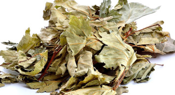 Çınar Yaprağı Boyun ve Bel Fıtığı İçin Doğal Bir Mucize