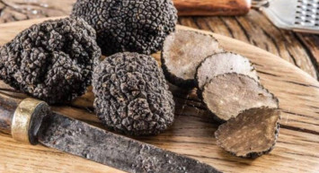 Dağda bayırda çıkıyor bulan köşeyi dönüyor! Kilosu 70 bin TL