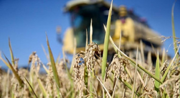 Depremzede çiftçiler için harekete geçiliyor: Bölgede hasat ve ekim desteği verilecek