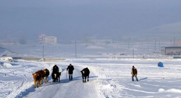 Dereceler -21'i gördü: Göller buz tuttu