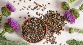 Deve dikeni tohumu ne işe yarar, nasıl kullanılır? Karaciğer sağlığı için doğal ilaç olan deve dikeninin faydaları