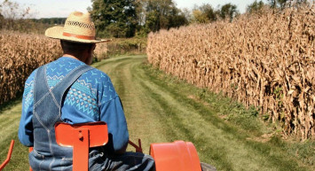 Devlet destekli çiftçilik teşvikleri nelerdir, nasıl alınır? 2022 devlet destekli çiftçilik teşvikleri kapsamı açıklandı