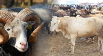 Diyanet, 2022 yılı vekaletle kurban kesim bedelini duyurdu! 2022 kurban kesim bedeli ne kadar oldu? 2022 Diyanet kurban vekaleti fiyatları