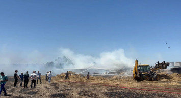 Diyarbakır ve Mardin yangınları ders olmadı: Tekirdağ’da da anız yangını meydana geldi! 50 dönüm ekili buğday küle döndü