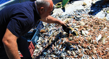 Doğu Akdeniz'de Denizden Balık Yerine Çöp Çıkıyor