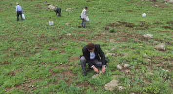 Doğu ve Güneydoğu huzura kavuştu: Teröristlerden arındırılan dağlar, vatandaşların geçim kaynağı oldu!