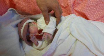 Doğum saati nasıl öğrenilir? 2022 E-Devlet doğum saati öğrenme ekranı