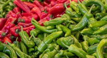 Domates ve biberlerde zehir tespit edildi