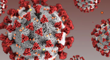 DSÖ'den Açıklama: Koronavirüs Ne Zaman Bitecek?