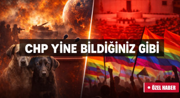 Dünya alarm verirken CHP’ninı gündemi: Hayvanlar ve LGBT
