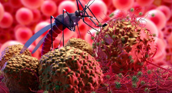 Dünyanın en ölümcül canlısı: Vücut ısısını algılayarak salgını artırıyor