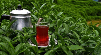Dünyanın sofralarında, Tavşan kanı Türk çayları yudumlanıyor!