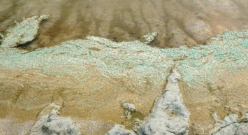 Durum Vahim! Burdur Gölü'nde Suyun Rengi Sarıya Döndü