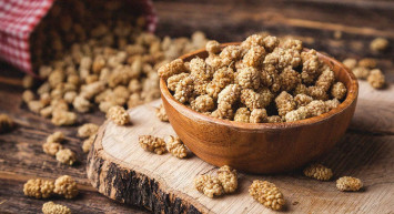 Dut kurusu neye iyi gelir? Dut kurusunun faydaları