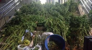 Düzce'de Tost Büfesinde Uyuşturucu Satışı! Çok Sayıda Uyuşturucu Ele Geçirildi