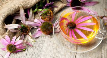  Ekinezya çayı nasıl yapılır, faydaları nelerdir, hamilelikte içilir mi? AIDS tedavisinde doğal ilaç olan ekinezya çayının faydaları