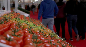 Ekonomide seferberlik! Bakan Nebati'den önemli açıklamalar: Gıda fiyatlarındaki artış için 2 büyük adım