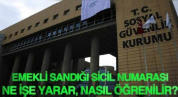 Emekli Sandığı sicil numarası sorgulama, öğrenme işlemi nasıl yapılır? Emekli Sandığı sicil numarası sorgulama öğrenme