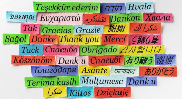 En iyi ve hatasız çeviri yapan çeviri siteleri