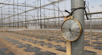 Eskişehir’den beklenen müjdeli haber geldi: Seralarda ucuz sebze hasadı için gün sayılıyor!