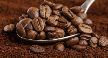 Etiyopya’dan sevindiren haber! 2 milyar kahve dikilecek