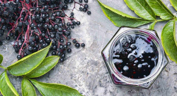 Faydaları saymakla bitmeyen kara mürver çayı nasıl yapılır, nelere iyi gelir? Kara mürver çayında bulunan vitamin ve mineraller