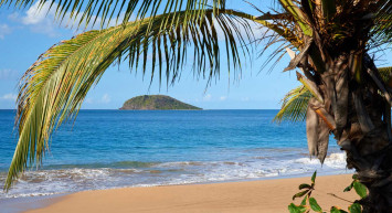 Filmleri aratmayan olay! Adada beş gün boyunca mahsur kaldı! Kömür bile yedi
