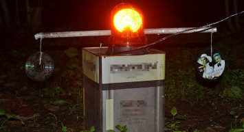 Fındık bahçesini saran domuzlar geleceklerine pişman oldu! Domuzlardan kurtulmak için böyle plan görülmedi