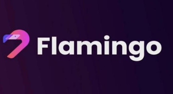 FLM coin alınır mı? Flamingo yatırım tavsiyesi var mı? FLM coin geleceği var mı?