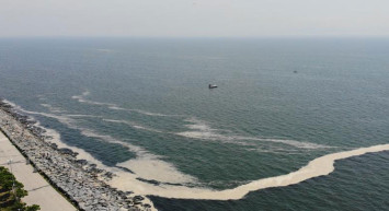 Geçen sene Marmara Denizi'nde haftalarca süren müsilaj, bu yıl tekrar gelebilir!