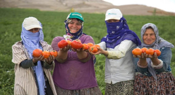 Gıda enflasyonu durdurulamıyor: Yeni bir hamle daha geldi! Fidelerin yüzde 75’i hibe edilecek