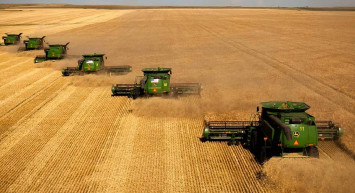 Gıda fiyatları yüzünden küresel kriz kapıda!