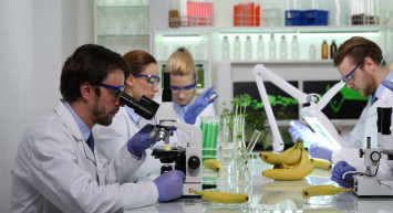 Gıda Mühendisliği DGS 2022 taban puanları ve bölüm kontenjanları