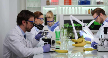 Gıda Teknolojisi DGS 2022 taban puanları ve bölüm kontenjanları