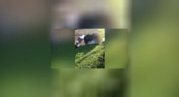 Giresun’da uygunsuz alanda yakalanan genç kız intihar mı etti? Görüntüleri kim çekti?