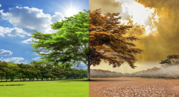 Google’dan iklim değişikliğine özel doodle: İklim değişikliği ilerleme durumu nedir?